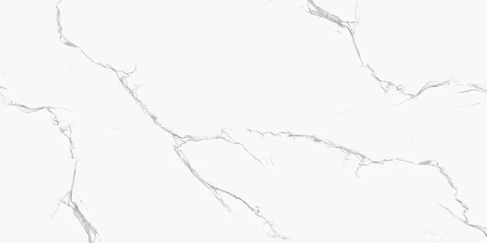 Керамогранит Royce Unico White Matt 60x120 см (R_NR2000)