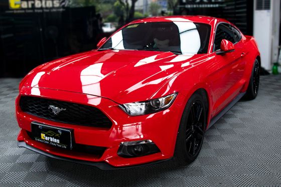 Carbins MX50 TPH защитная гибридная антигравийная полиуретановая пленка