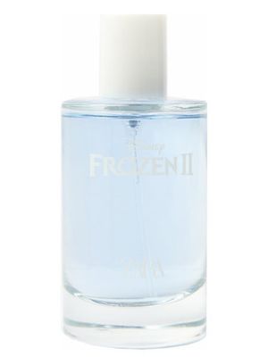 Zara Frozen II