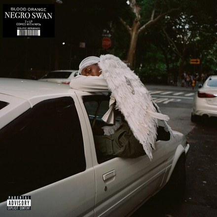Blood Orange Negro Swan