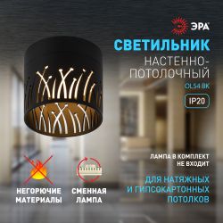 Светильник настенно-потолочный спот ЭРА OL54 BK под лампу GX53 черный IP20 | Накладные светильники