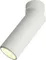 Спот Montella OML-101409-12 Omnilux
