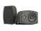 CVGAUDIO ODF616TBL настенная акустическая система