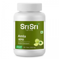 Амла Шри Шри Аюрведа Amla Sri Sri 60 таб