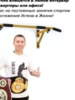 Турник Настенный AKTIV Черный
