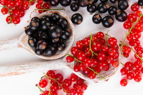 Купить смородину черную и красную Купить смородину черную и красную
