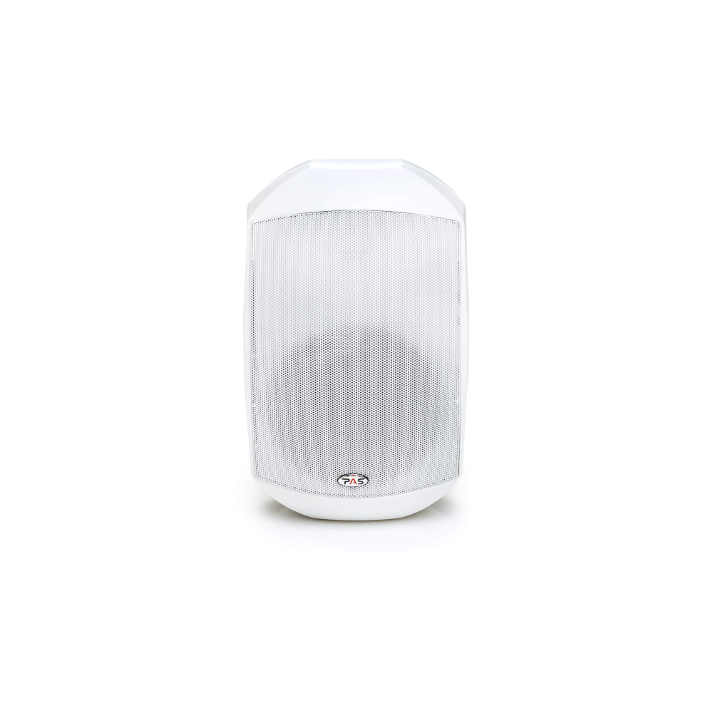 PASystem MARK-6W Настенный трансляционный громкоговоритель