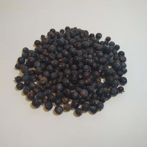 Можжевельник (плоды)