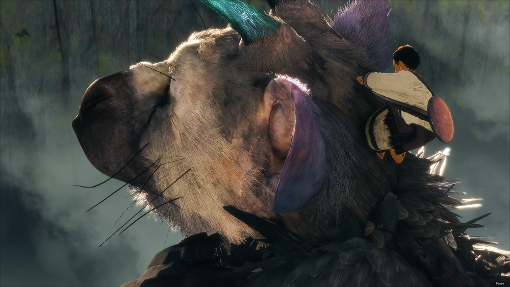 The Last Guardian
