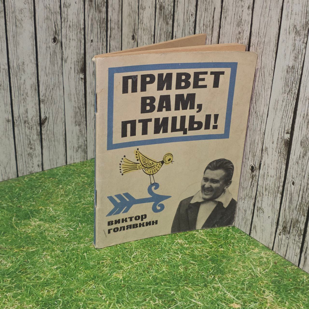 Привет вам, птицы! Голявкин Виктор Владимирович.
