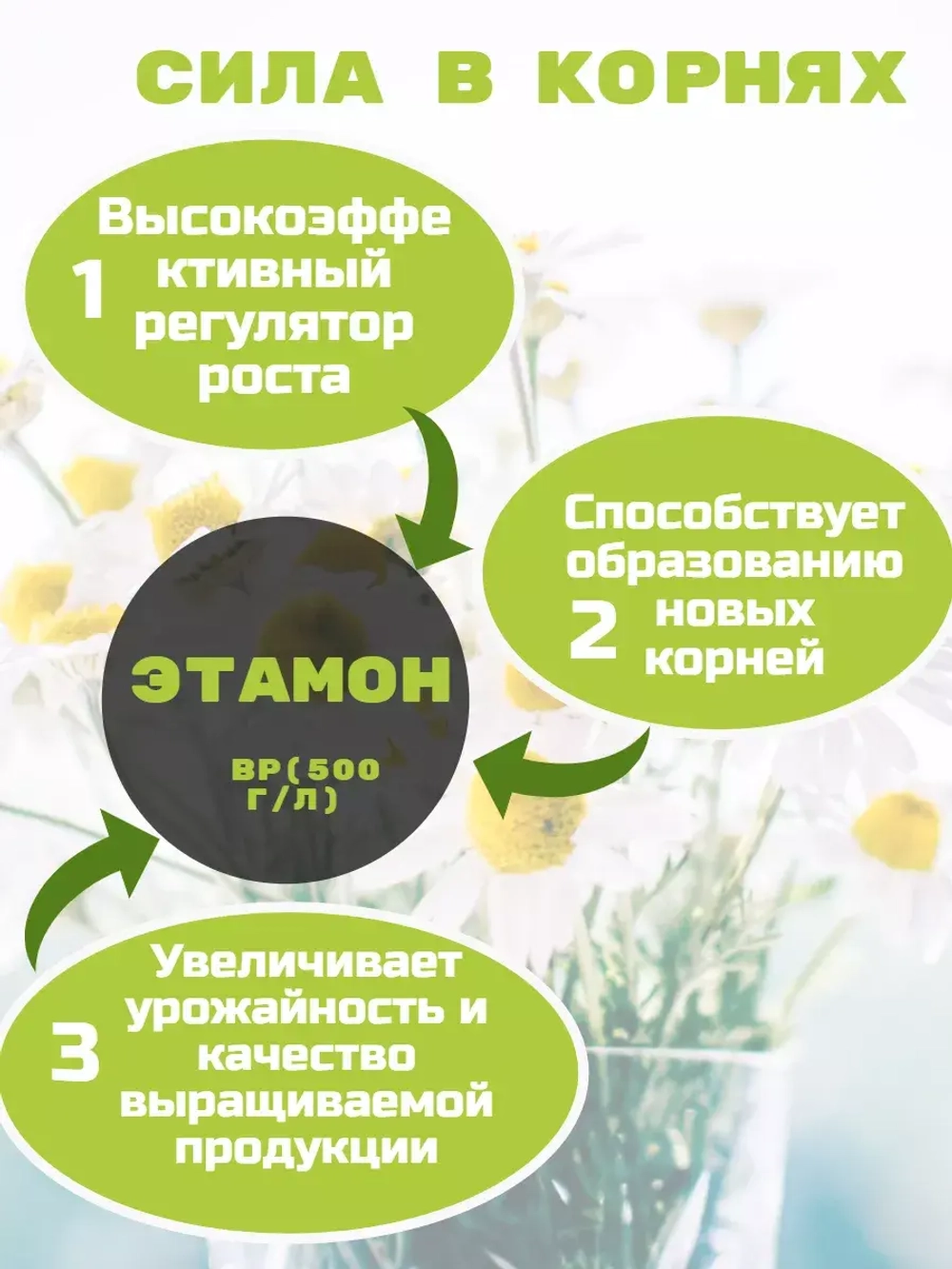 Стимулятор роста, стимулятор корней Этамон 0.5 л