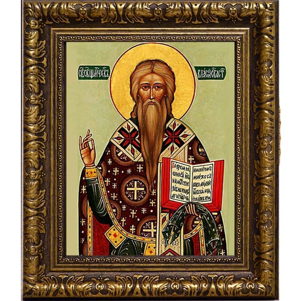 Власий Священномученик епископ Севастийский. Икона на холсте