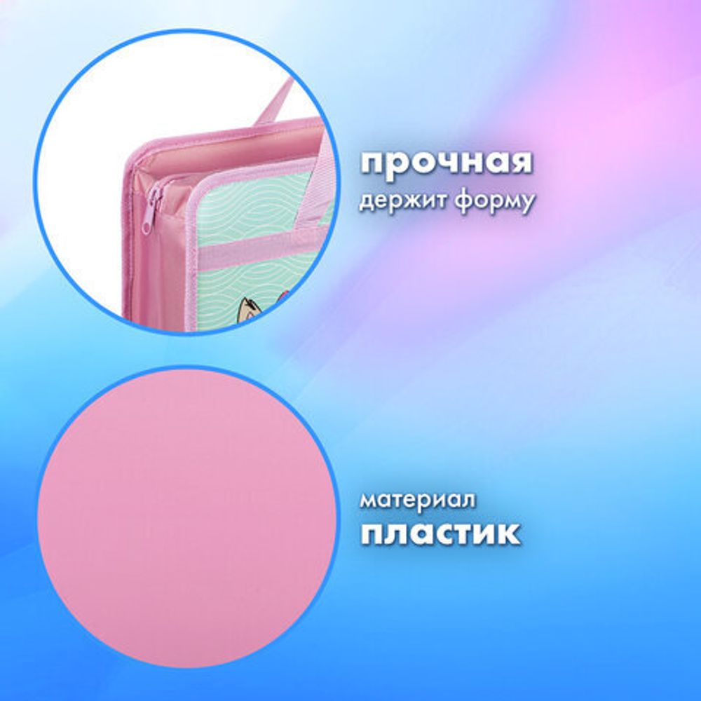 Папка на молнии с ручками BRAUBERG А4, 1 отделение, пластик, 80 мм, "BEST PALS", 271467