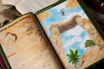 The Last Book