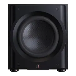 Perlisten Audio R10s Matte Black