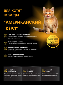 Корм сухой для котят породы Американский кёрл, с индейкой, 2 кг, QUATTRO