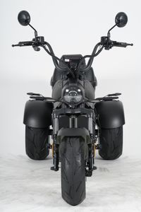 Трехколесный электроскутер Mangosteen M2P (60V 30А/40A 2000W) (ПОД ЗАКАЗ)