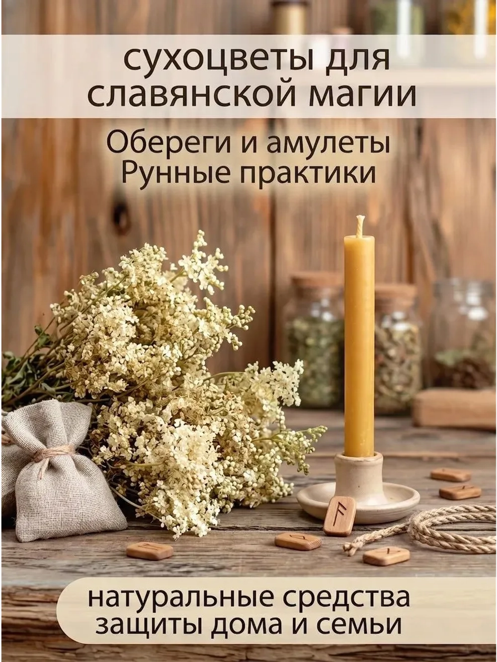 Таволга (лабазник) соцветия для свечей, творчества и хобби