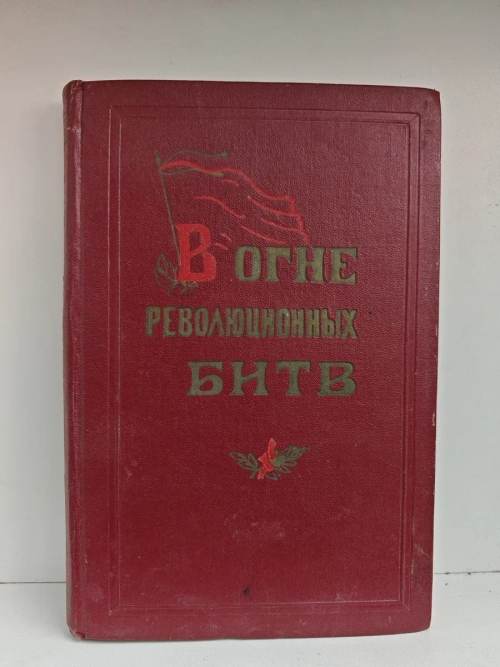 В огне революционных битв