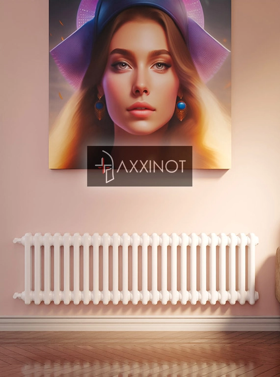 Axxinot Sentir 2037 - двухтрубный трубчатый радиатор высотой 370 мм, боковое подключение
