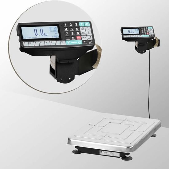 Весы с печатью этикеток МАССА-К ТВ-S-32.2-RP1