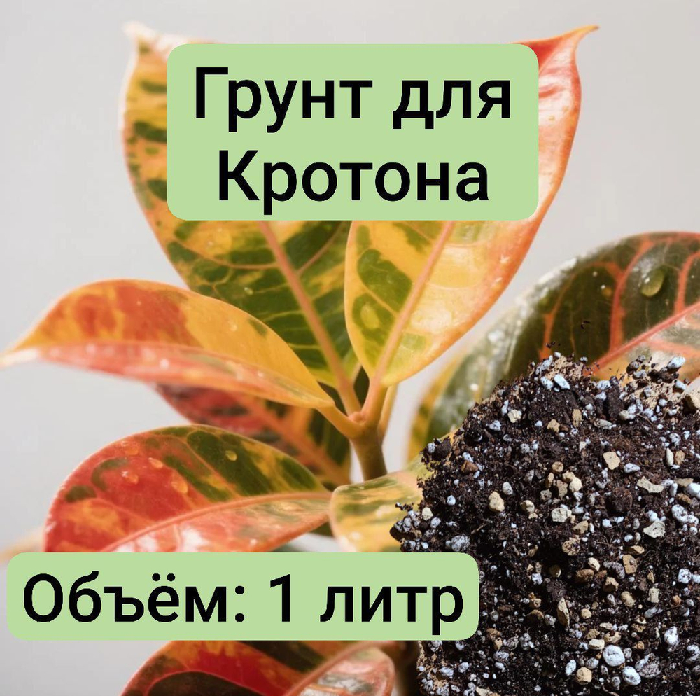 Грунт для Кротона 1 л ,1 литр грунта для Кротона универсальный