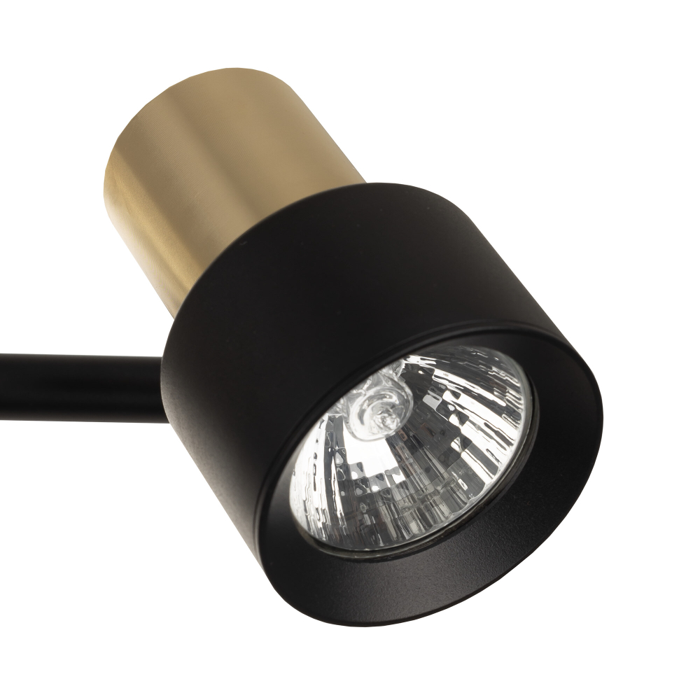 Citilux SAT CL505641 Спот поворотный с выключателем Чёрный+Золото