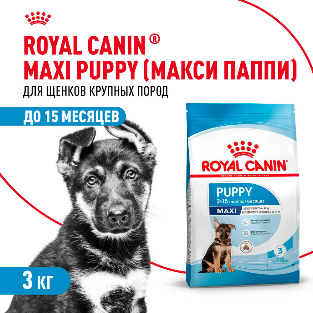 Royal Canin Maxi Puppy Макси Паппи Корм сухой для щенков крупных размеров в возрасте до 15 месяцев 3кг