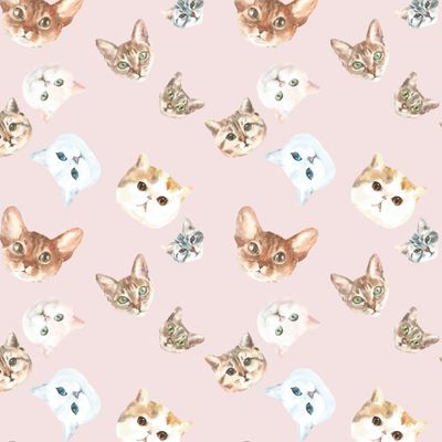 Коты акварельные, розовый фон