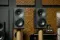 Amphion Argon1 Walnut