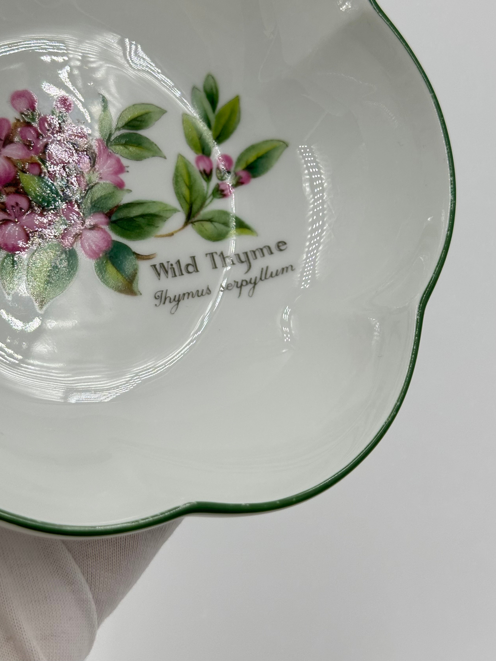 Пиала Royal Worcester, Worcester Herbs