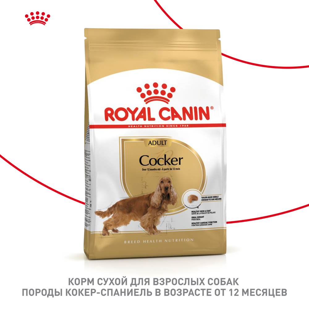 Royal Canin Cocker Adult Кокер Эдалт Корм сухой для взрослых собак породы Кокер Спаниель от 12 месяцев 12кг