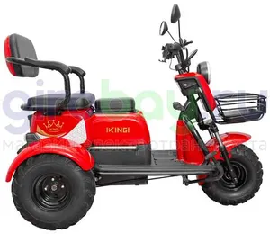 Электротрицикл IKINGI SIBTRIKE T3 Pro MAX 1000W (60V/30Ah) - Красный фото №7