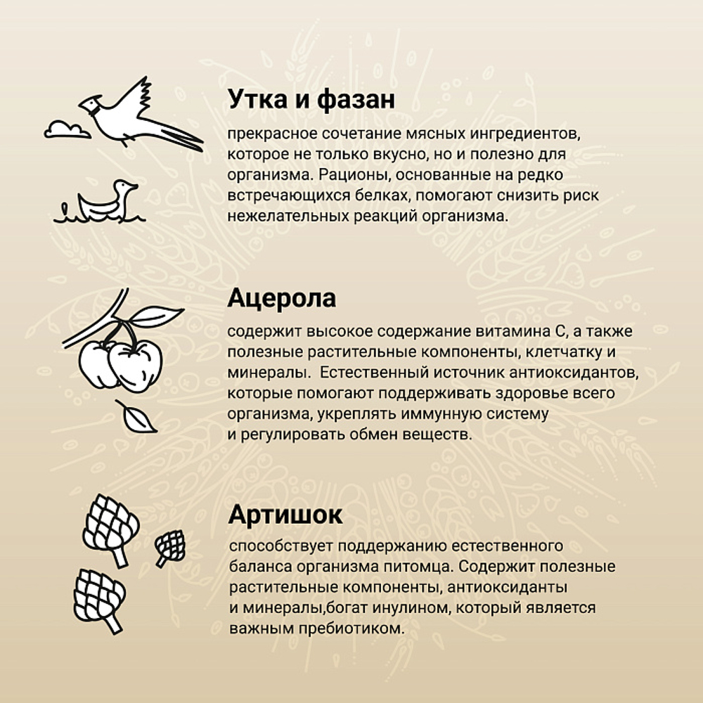 Сухой корм CRAFTIA NATURA для взрослых собак средних и крупных пород из утки с фазаном 640г