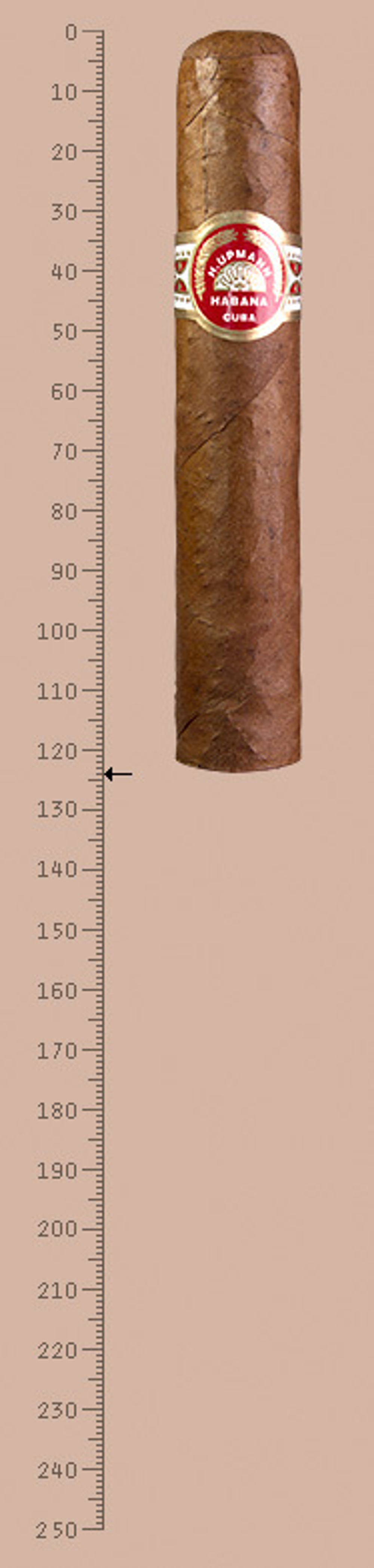 H.Upmann Robustos 2007 Travel Humidor