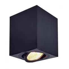 Точечный светильник Дюрен CL538213 Citilux