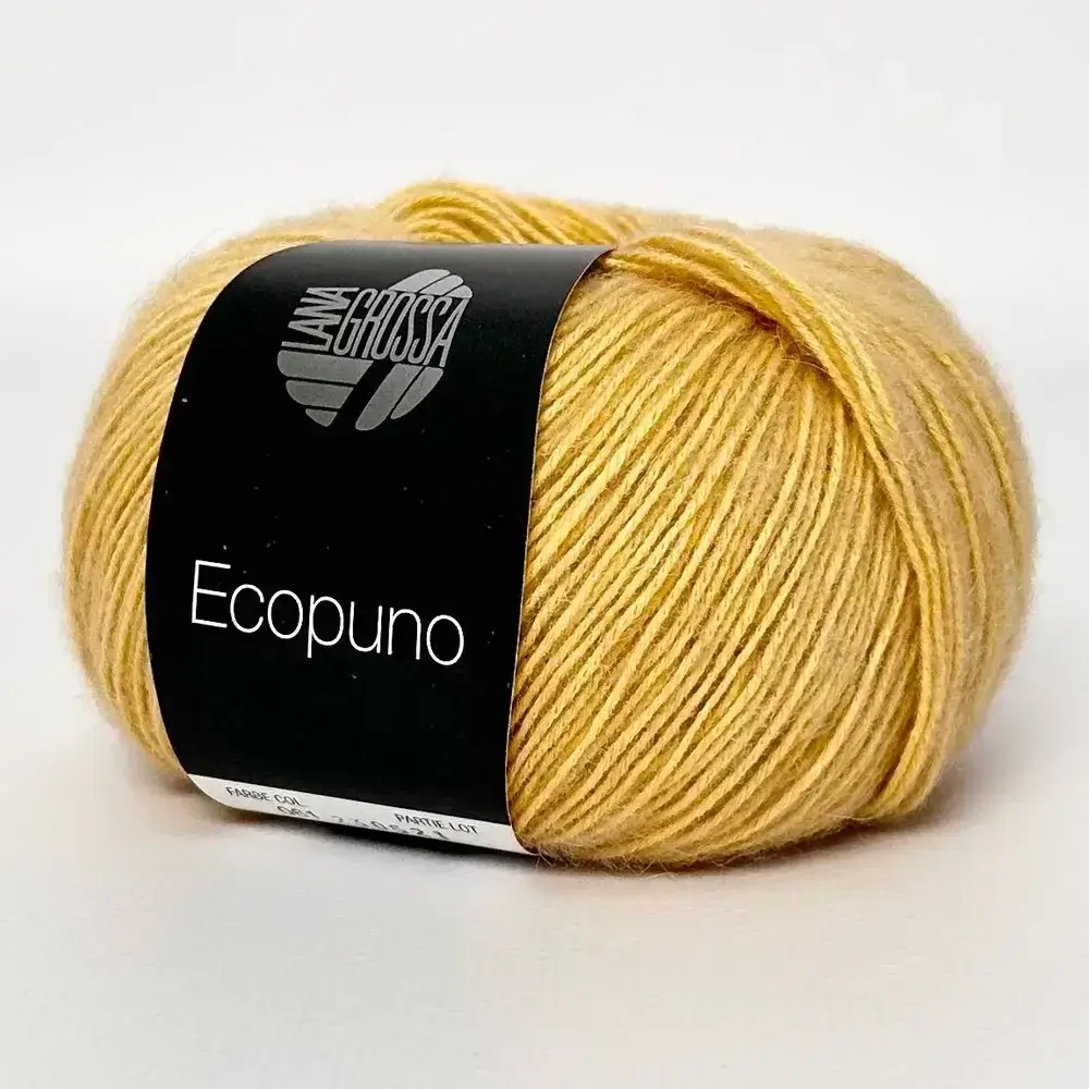 ECOPUNO Lana Grossa 61