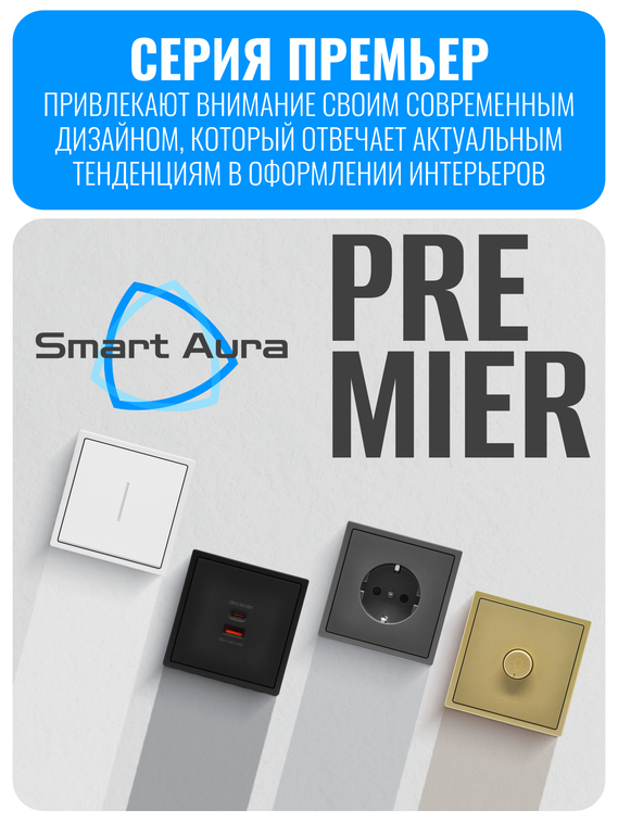 Розетка с зарядным устройством USB и Type-C Smart Aura серия PREMIER без рамки