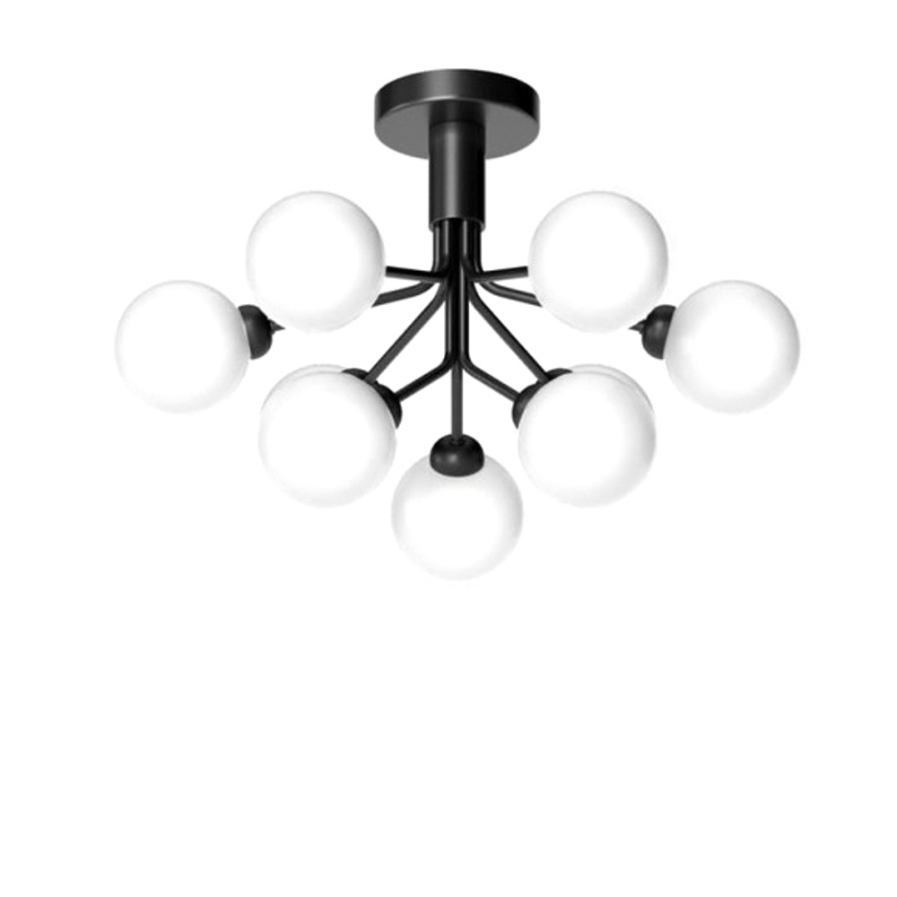 Ceiling design lamp  Apiales by Nuura (Black)