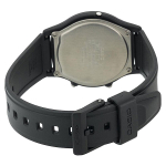 Мужские  наручные часы Casio Collection AW-49HE-2A