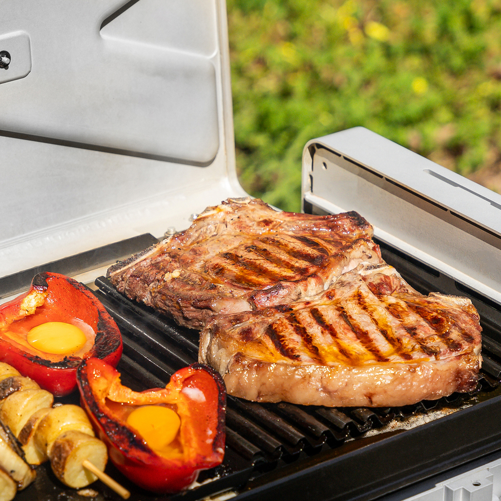 Газовый гриль портативный Karbo Grill X1 Natural Grey