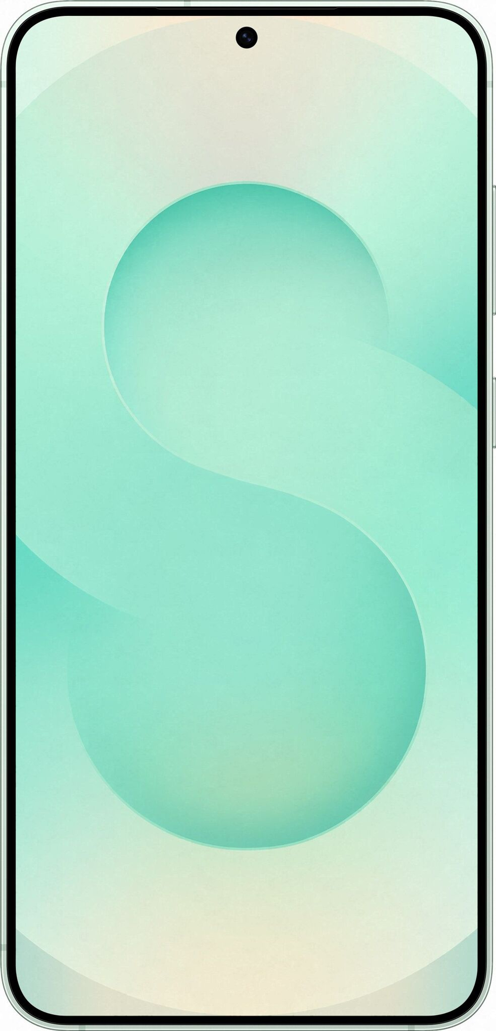 Смартфон Samsung Galaxy S25 plus 256 ГБ Мятный (Mint)