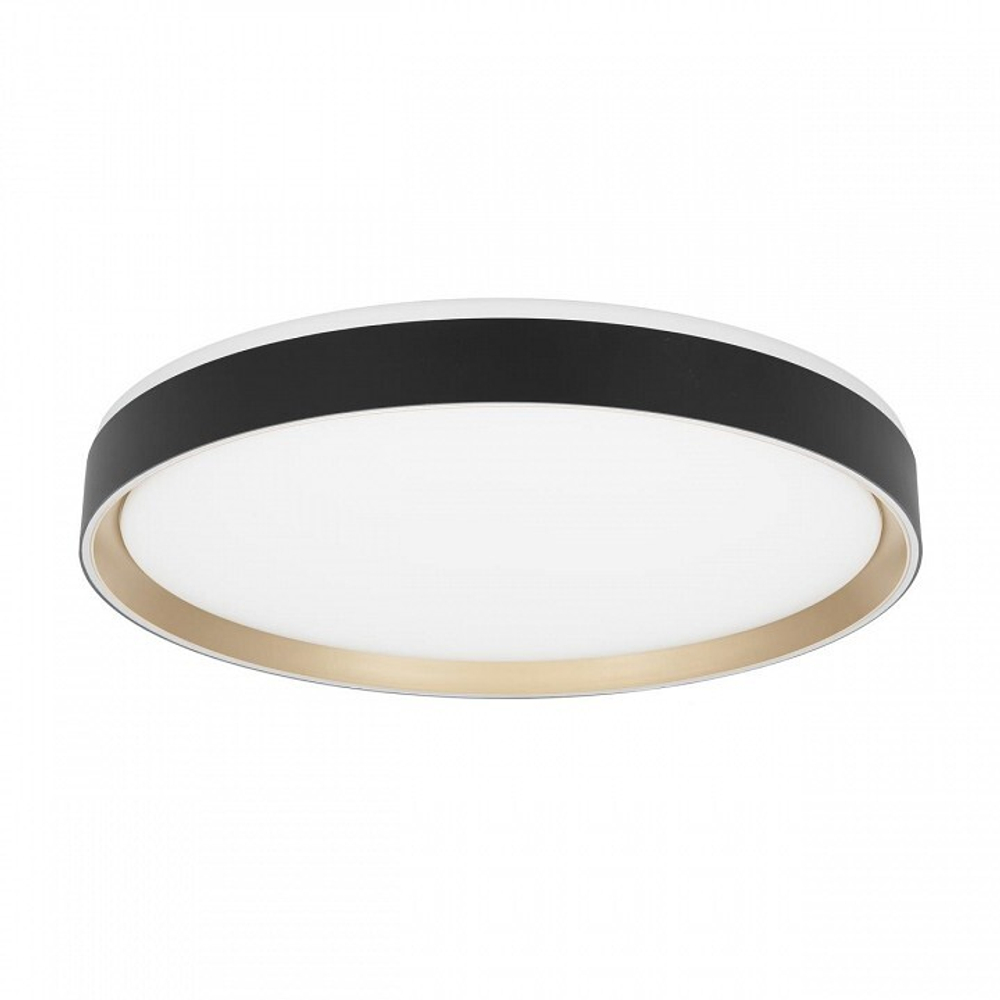 Накладной светильник Citilux BOSS CL751451G