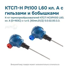 К-кт термопреобразователей КТСП HCXPt100 L60, кл. А (0+160С) с г.и б. (40мм,G1/2) 5.0.02.00.3.3.