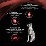 Паучи PRO PLAN VETERINARY DIETS DM St/Ox Diabetes Management для кошек при диабете с говядиной 85 г
