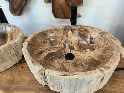 Раковина из окаменелого дерева OD-62102 56x47x15 из натурального камня