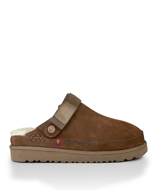 GOLDENSTAR CLOG Chocolate