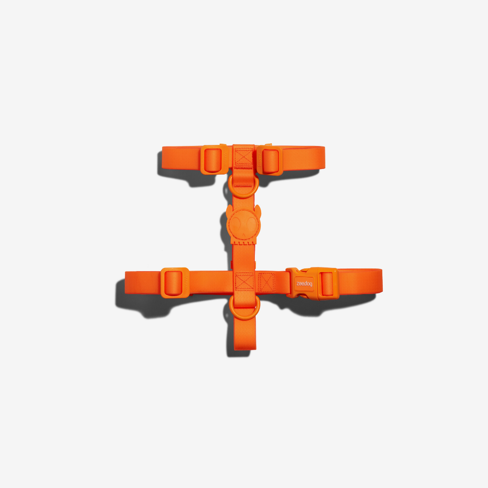 Шлейка NEOPRO TANGERINE Zee.Dog, размер L