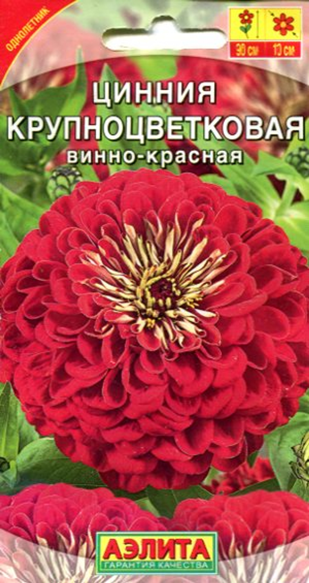 Цинния Крупноцветковая винно-красная 0,3гр  /Аэ