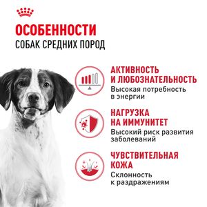 Сухой корм Royal Canin Medium Adult для взрослых собак средних размеров от 12 месяцев до 7 лет